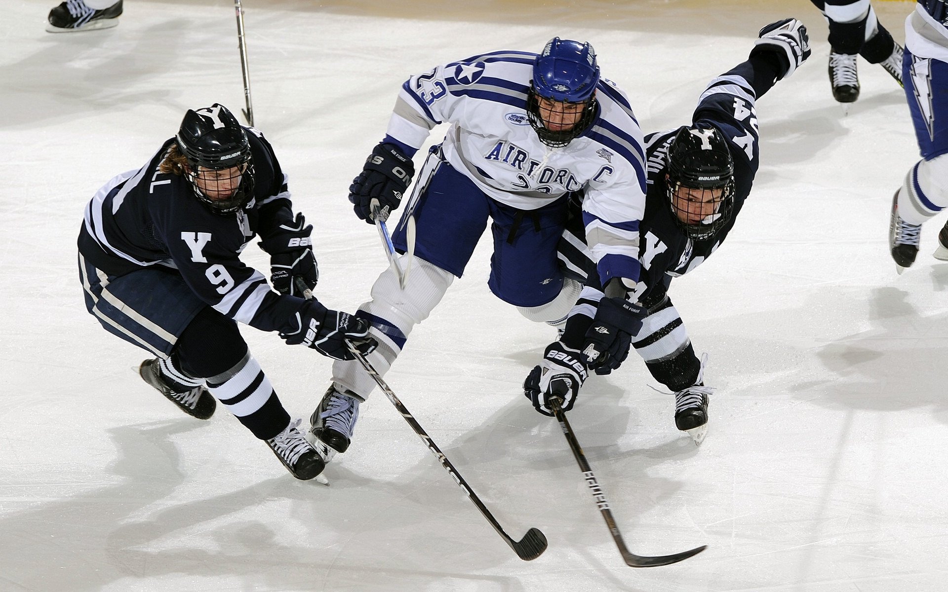 法国斩落新西兰，篮球世界杯的暗影，NBA季后赛的序曲